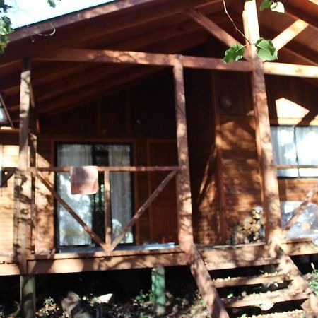 Cabana Bosque Viejo Villa Las Trancas Luaran gambar
