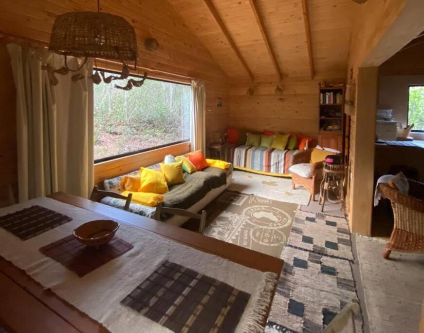 Cabana Bosque Viejo Villa Las Trancas Luaran gambar