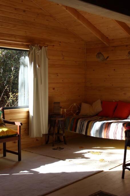 Cabana Bosque Viejo Villa Las Trancas Luaran gambar