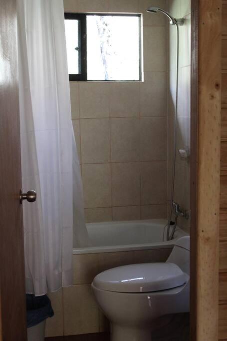Cabana Bosque Viejo Villa Las Trancas Luaran gambar