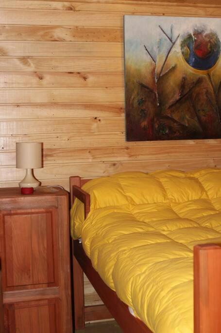 Cabana Bosque Viejo Villa Las Trancas Luaran gambar
