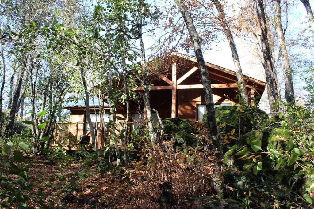 Cabana Bosque Viejo Villa Las Trancas Luaran gambar